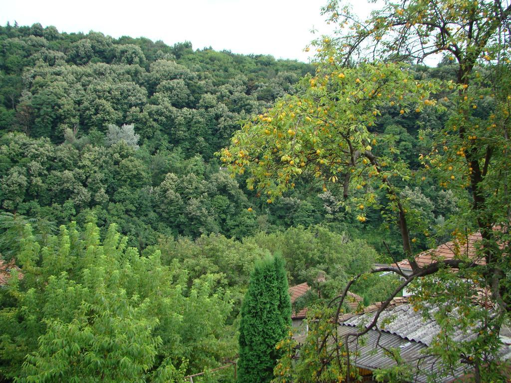 Guest House Selin Tırnova Dış mekan fotoğraf
